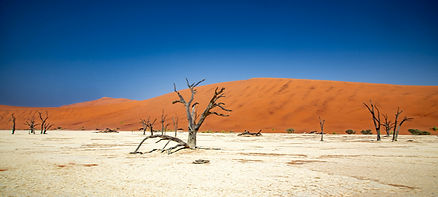 Lerato Adventures – Deadvlei en Namibie lors d'un safari photographique, Image by Bernd Dittrich