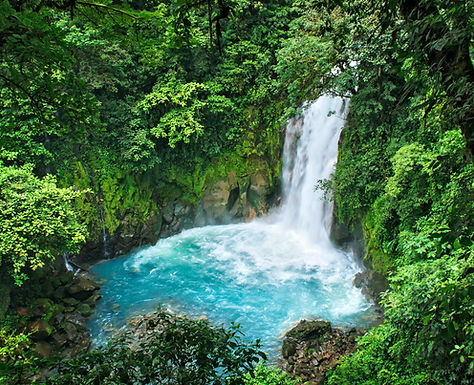 Image by Sterling Lanier