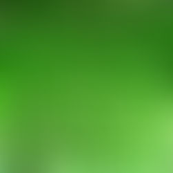 Umsetzung Multioptions­sammelstelle Vallorca