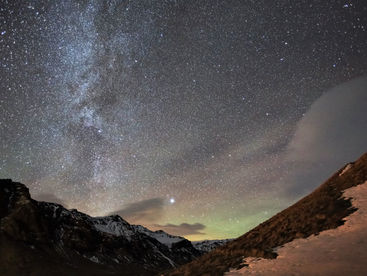 El Backtest que se muerde la cola