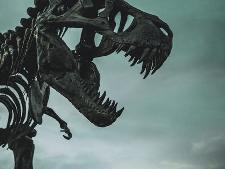 A dinosaur fossil resembling the age of the Keogh plan which is uncommon anymore