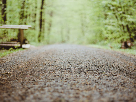 June 2024: Learnings from Magnolia Hill Texas XTerra (Race Recap)