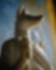 Image by Giu Vicente