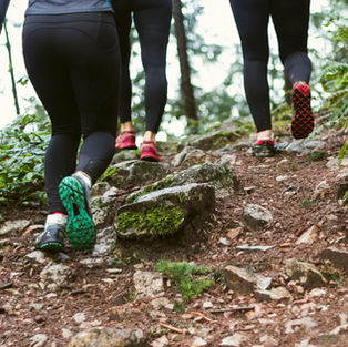 Download the Prana Walking Log