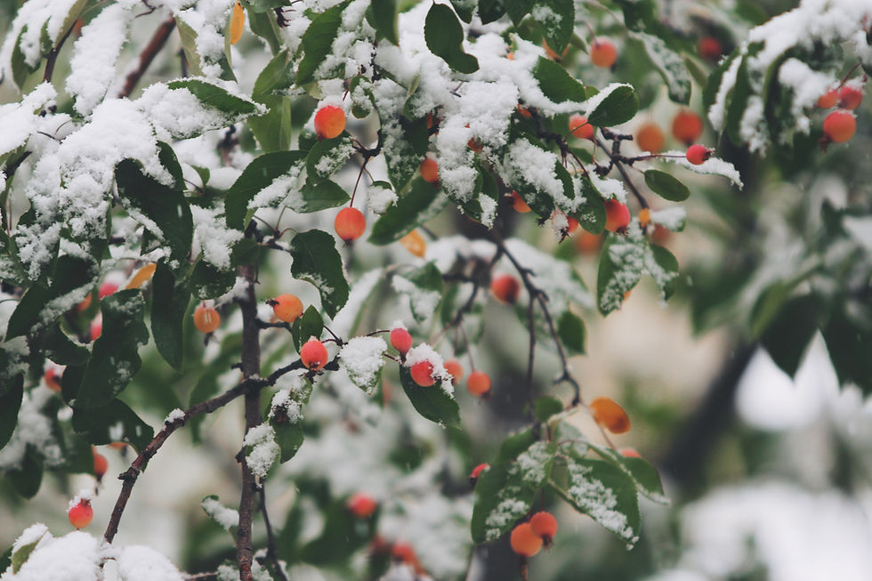 The Hidden Impact of Seasonal Weather on Commercial Roof Longevity