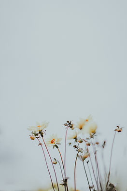 Decorative backdrop with flowers