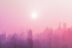 Image by Meiying Ng