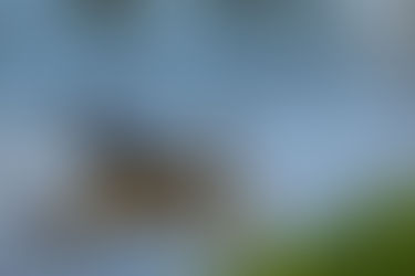 7 Ways Wellbeing Coaching Can Support Mothers and Pregnant People