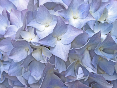 Key Spring Fashion Trends Series: what to Know, Pastel