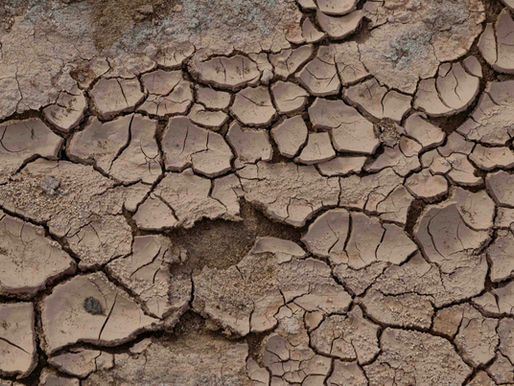 The Ultimate Guide to Water Filtration and Purification for Survival