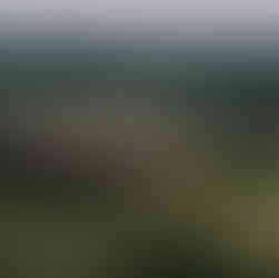 Elephant herd in Tarangire National Park on fly-in safari from Zanzibar