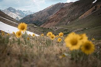 Image by Intricate Explorer