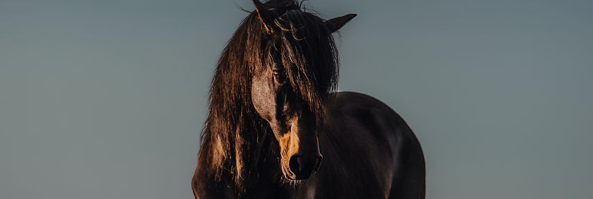 Image by Lara Baeriswyl