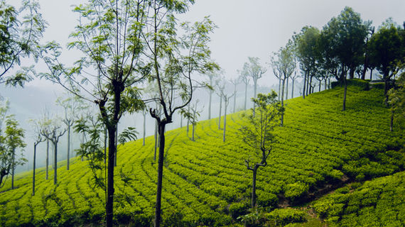 Image by SAHAL FIDHU SAJEEB