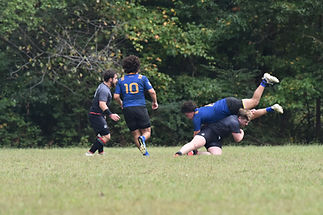 Image by Philippa Rose-Tite