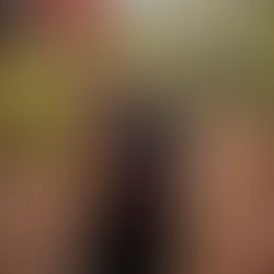 black dog with a red leash in the woods looking up at something