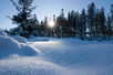 Imitating the Sun's Generosity with Vitamin D: Nov 2020