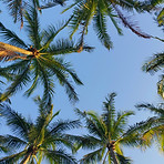 Image by Autumn Kuney