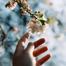 Image by Mia Truong