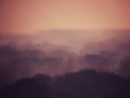 Misty landscape with orange and purple tones softened by fog