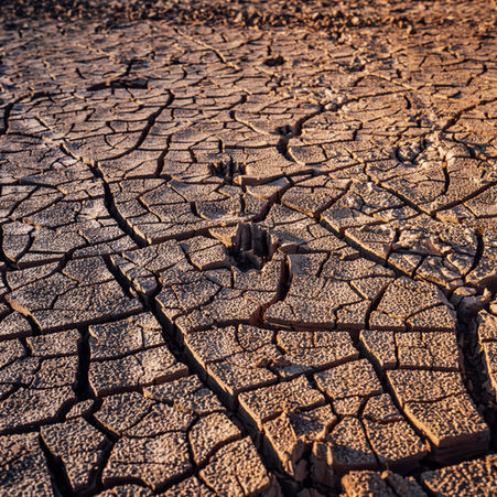 A close-up of extremely dry, cracked dirt and ground surface