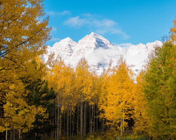 Image by Shelby Smith