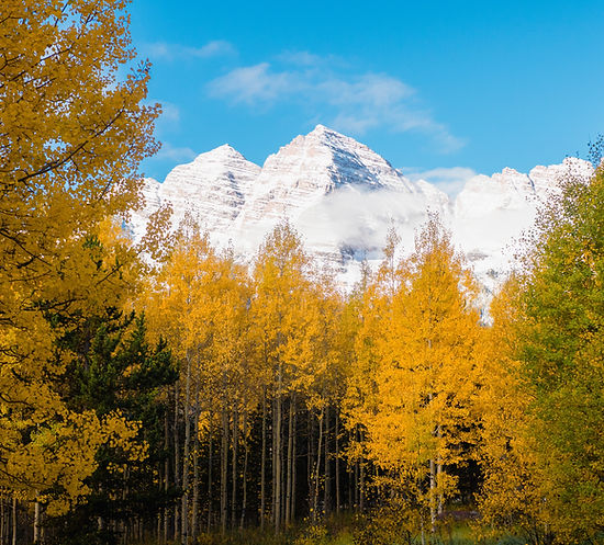 Image by Shelby Smith
