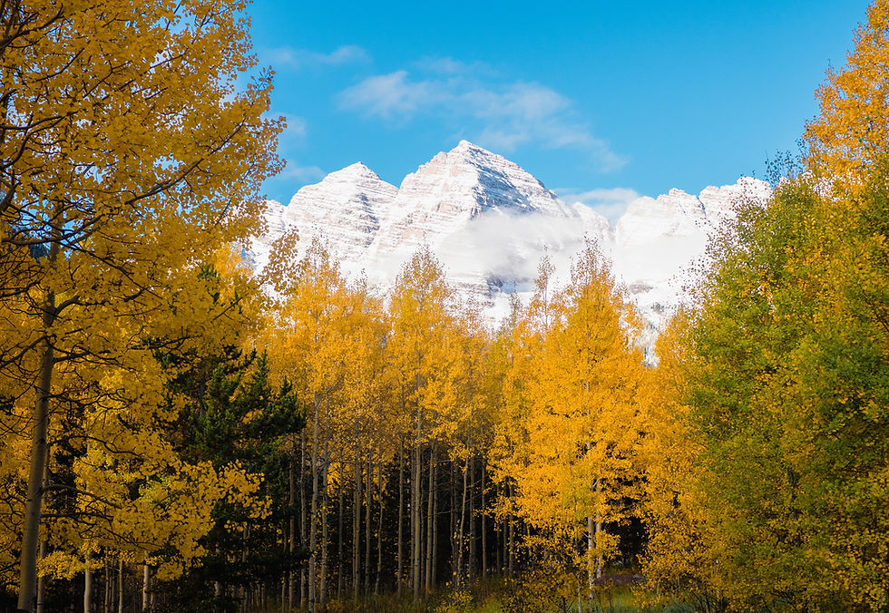 Image by Shelby Smith