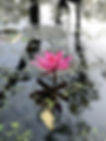 Image de Abhidev Vaishnav