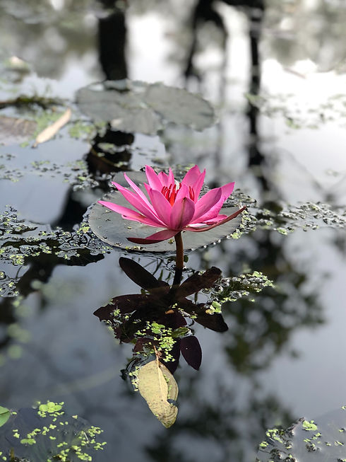 Image de Abhidev Vaishnav