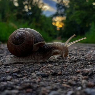 Why Front-Loading Your Ad Budget Beats the Slow-and-Steady Approach