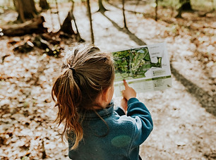Image by Sandra Seitamaa