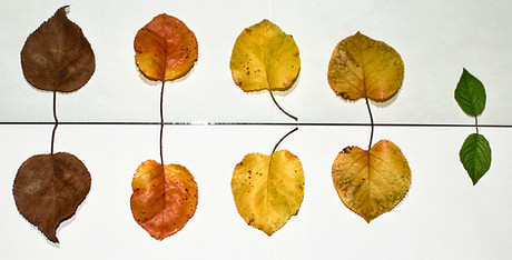 Image by Tolga Ulkan