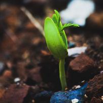 Is your company growing faster than your leadership style?