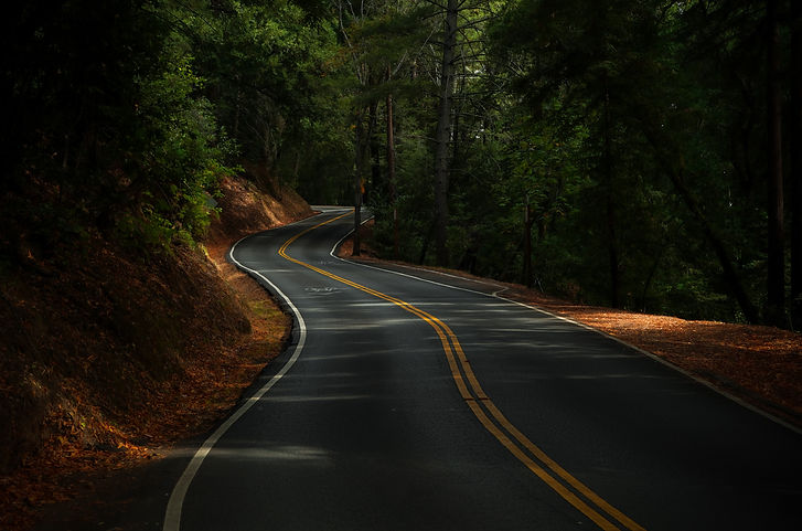 Image by Dylan Taylor