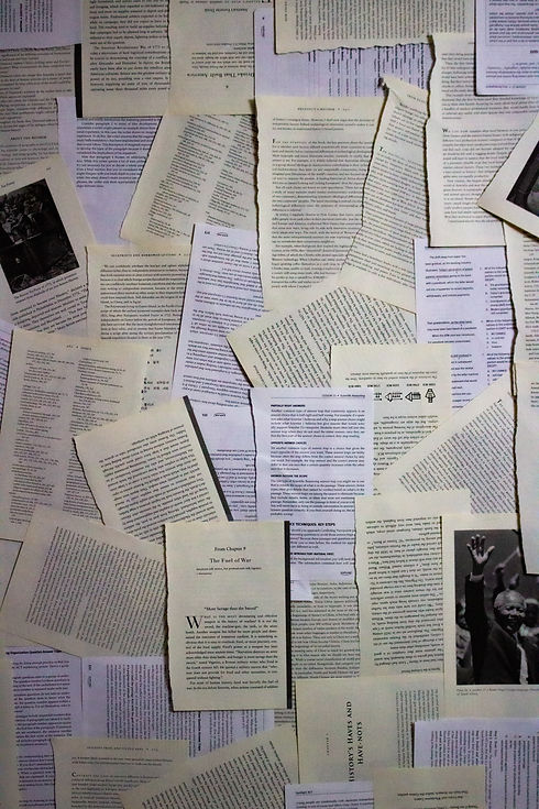 Image by Reagan Freeman