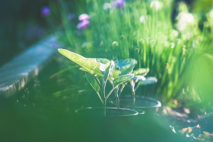 Image by Markus Spiske