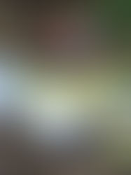 Швейцарцы теряют до 600 франков в год на пищевых отходах 