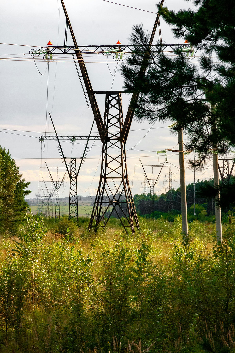 Huurav Energy Endorsements