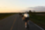Image by William-Andrew Lussier