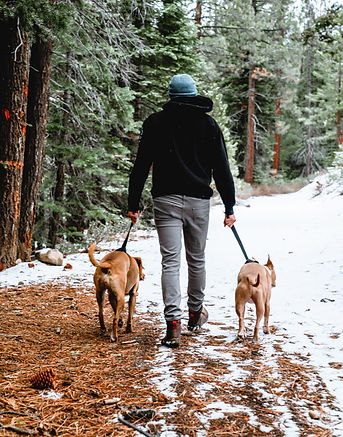 Image by Meritt Thomas