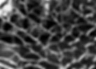 more shattered glass