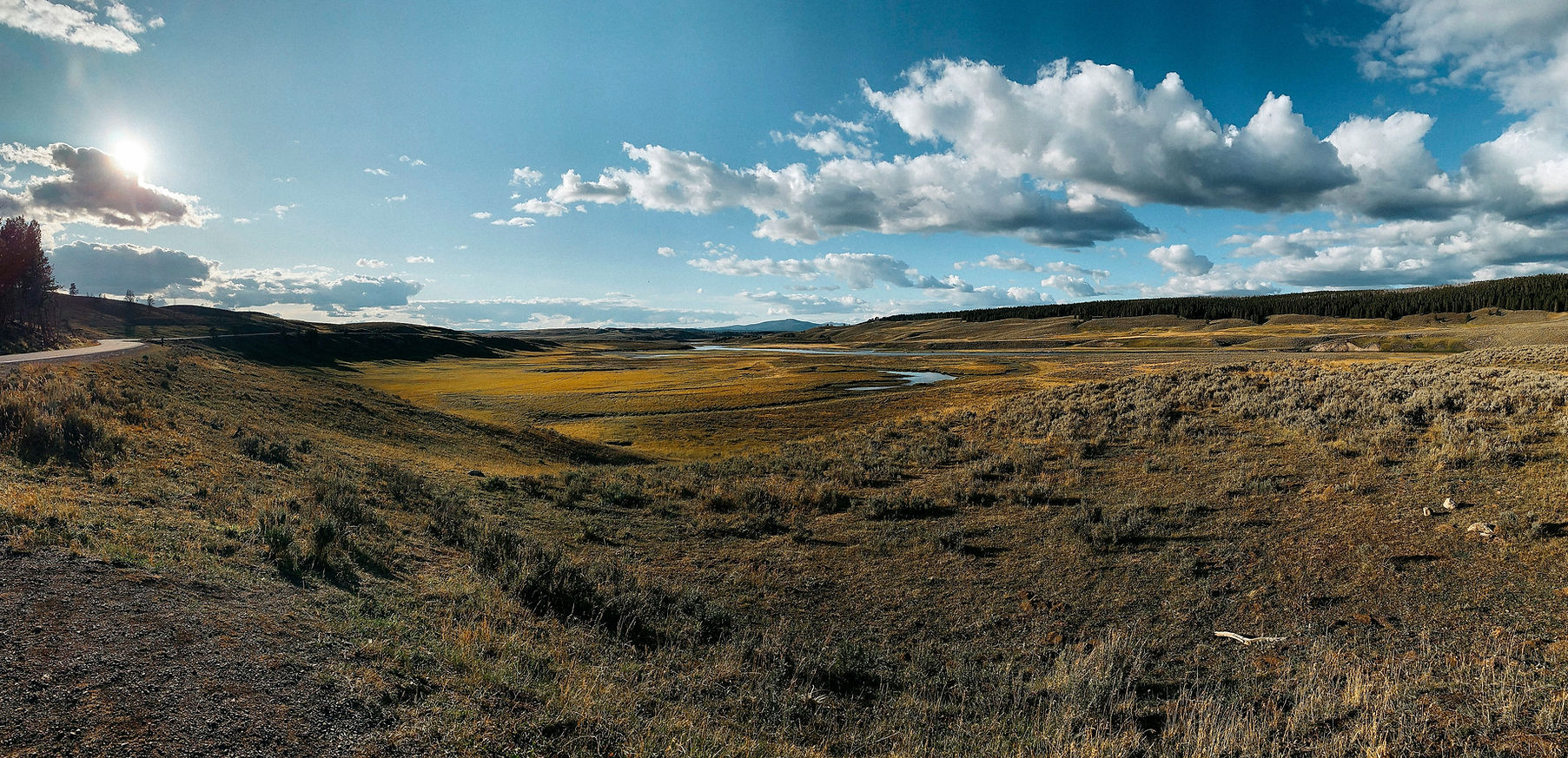 Image by Megan Schultz