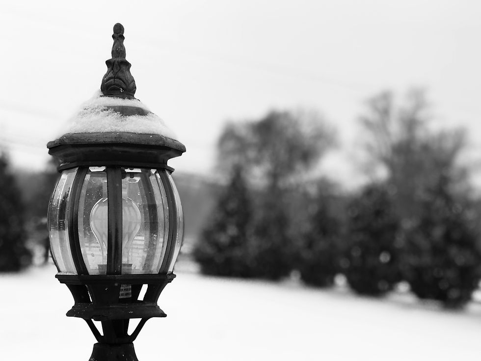 Advent Day 24: Luke 15:11-32