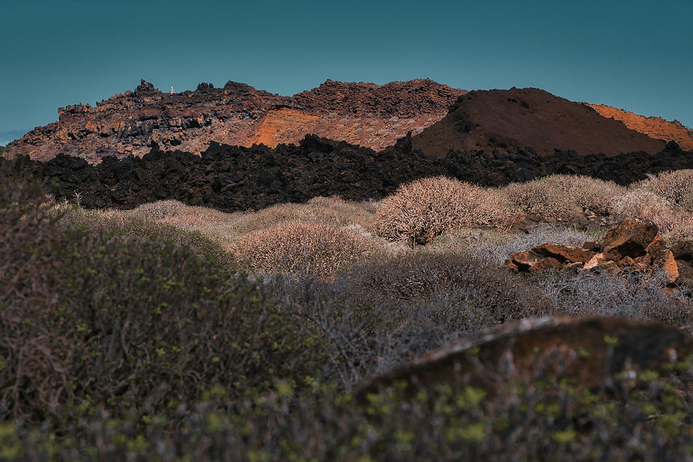 Image by Jan Brennenstuhl