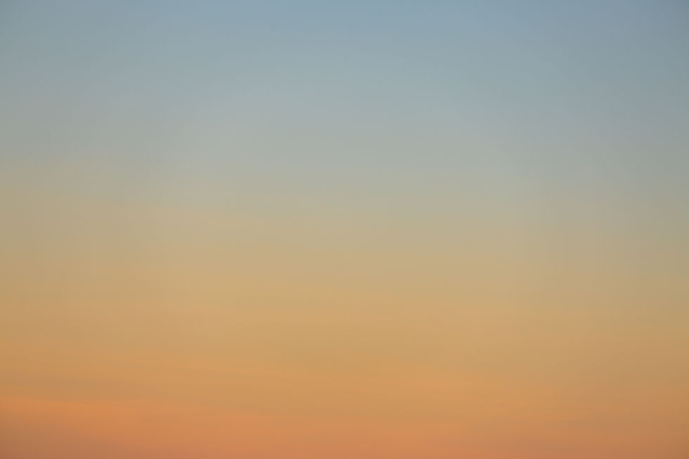 Image by César Couto