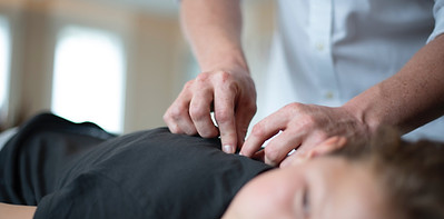 Osteopathische Techniken von Paul Reinborn