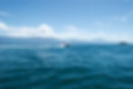 Image by Bruno Soares
