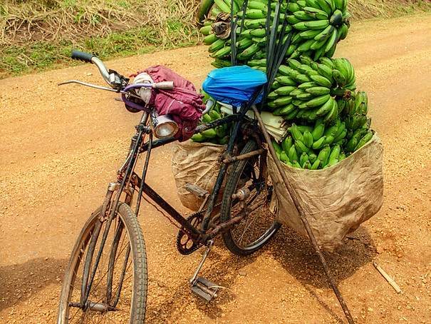 voyage petit groupe ouganda