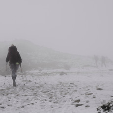 Winter foto